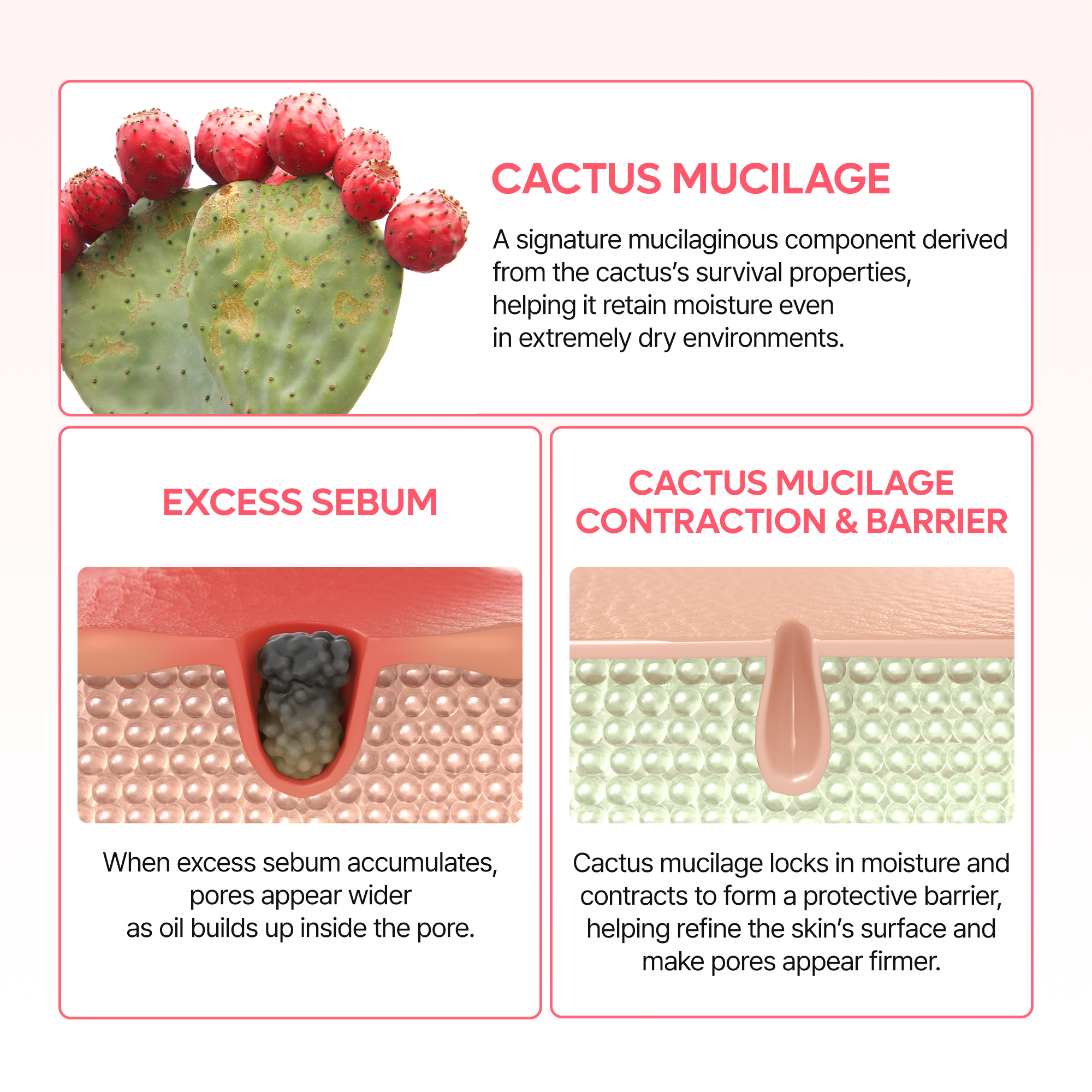 Cactox Pore Dual Capsule Cream - image 5
