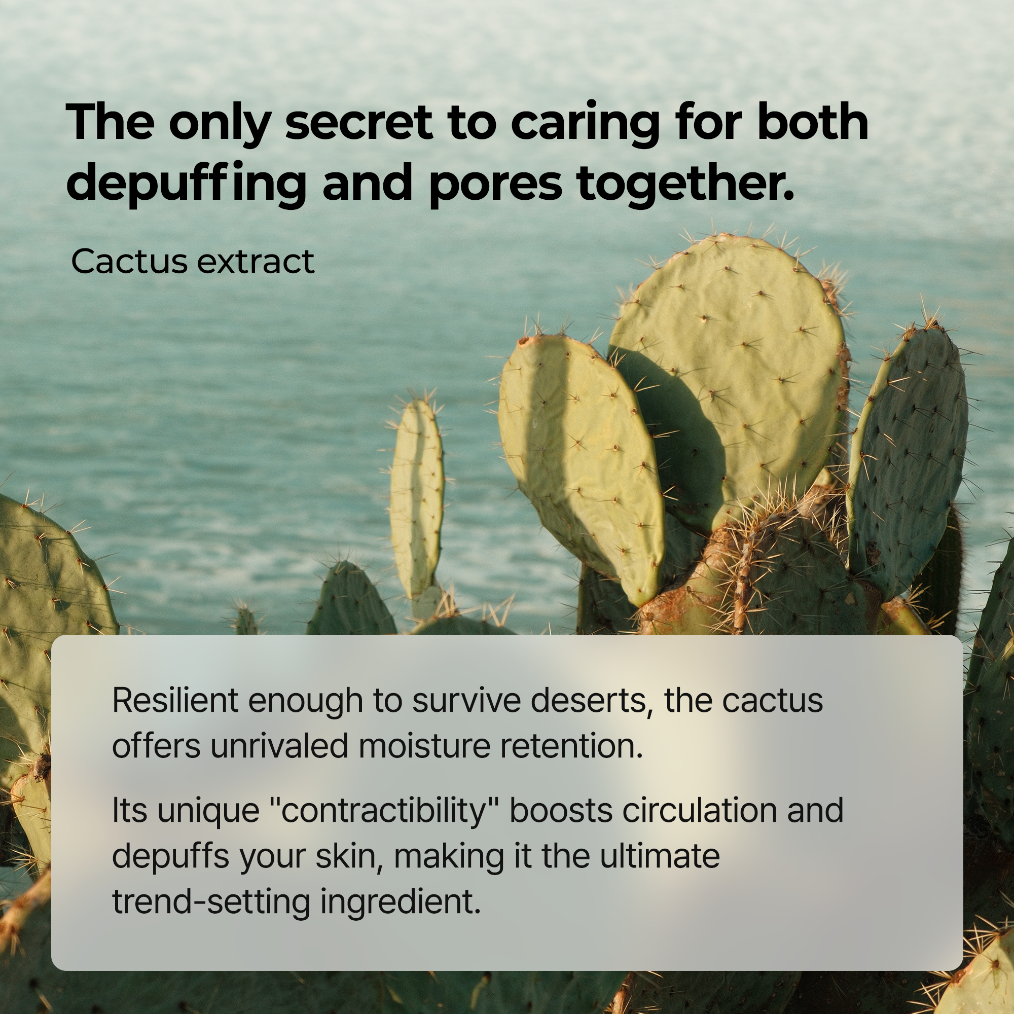 Peel Shot Exfoliating Cactox Serum - image 4