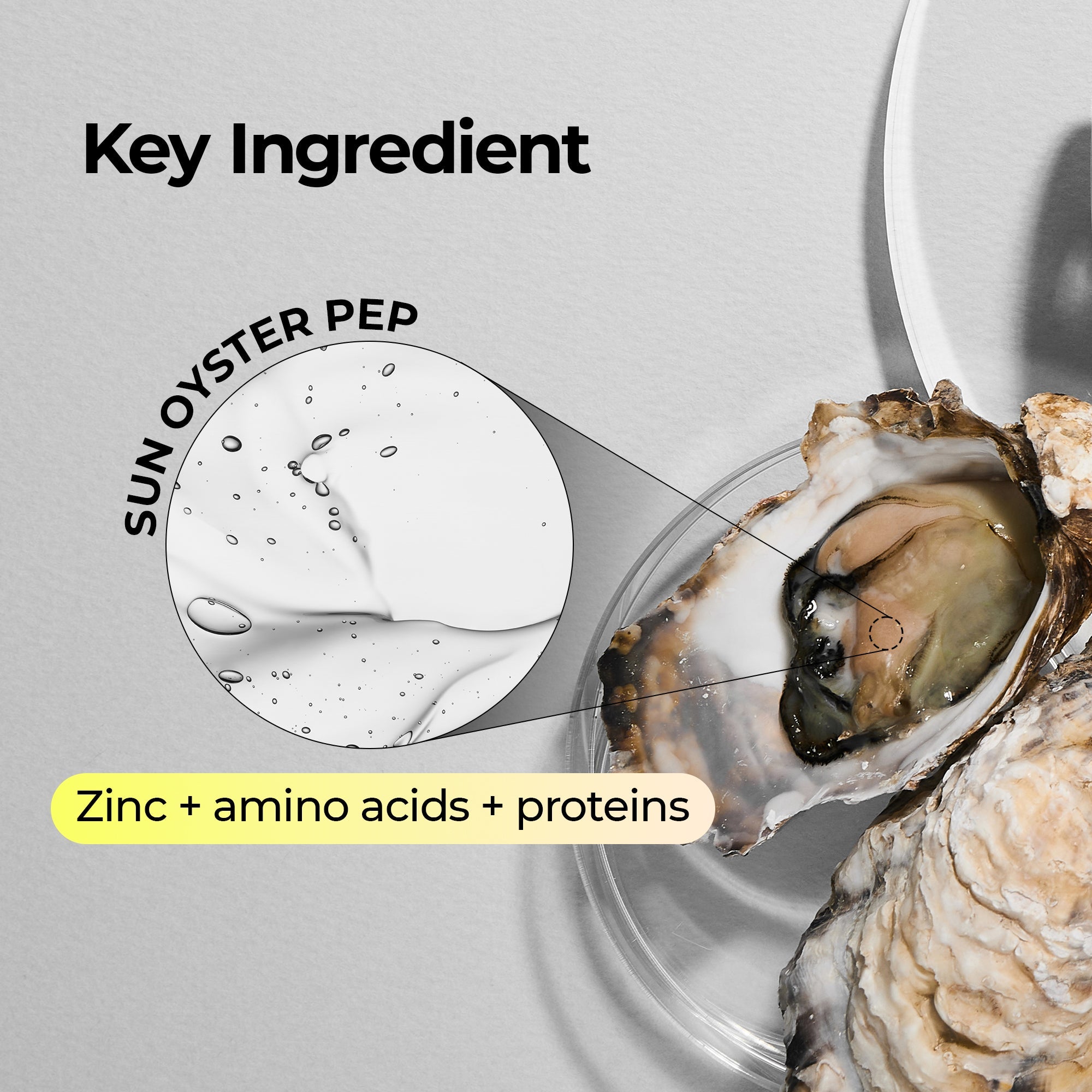 Oyster Pep-3 Renewal Serum - image 3