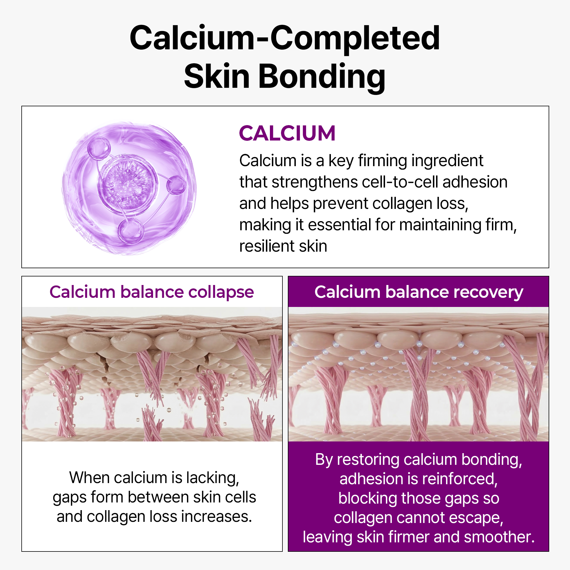 Calcium Bonding Serum - image 5