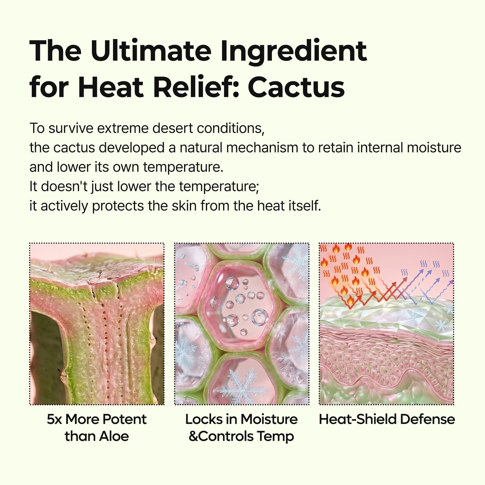 Cactox Pore Relief Gel Cleanser - image 5
