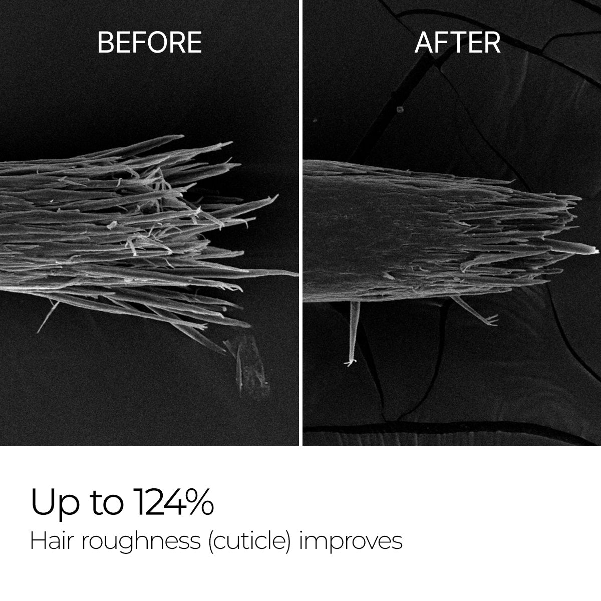 Bondex Bonding Hair Restoration Line - image 4