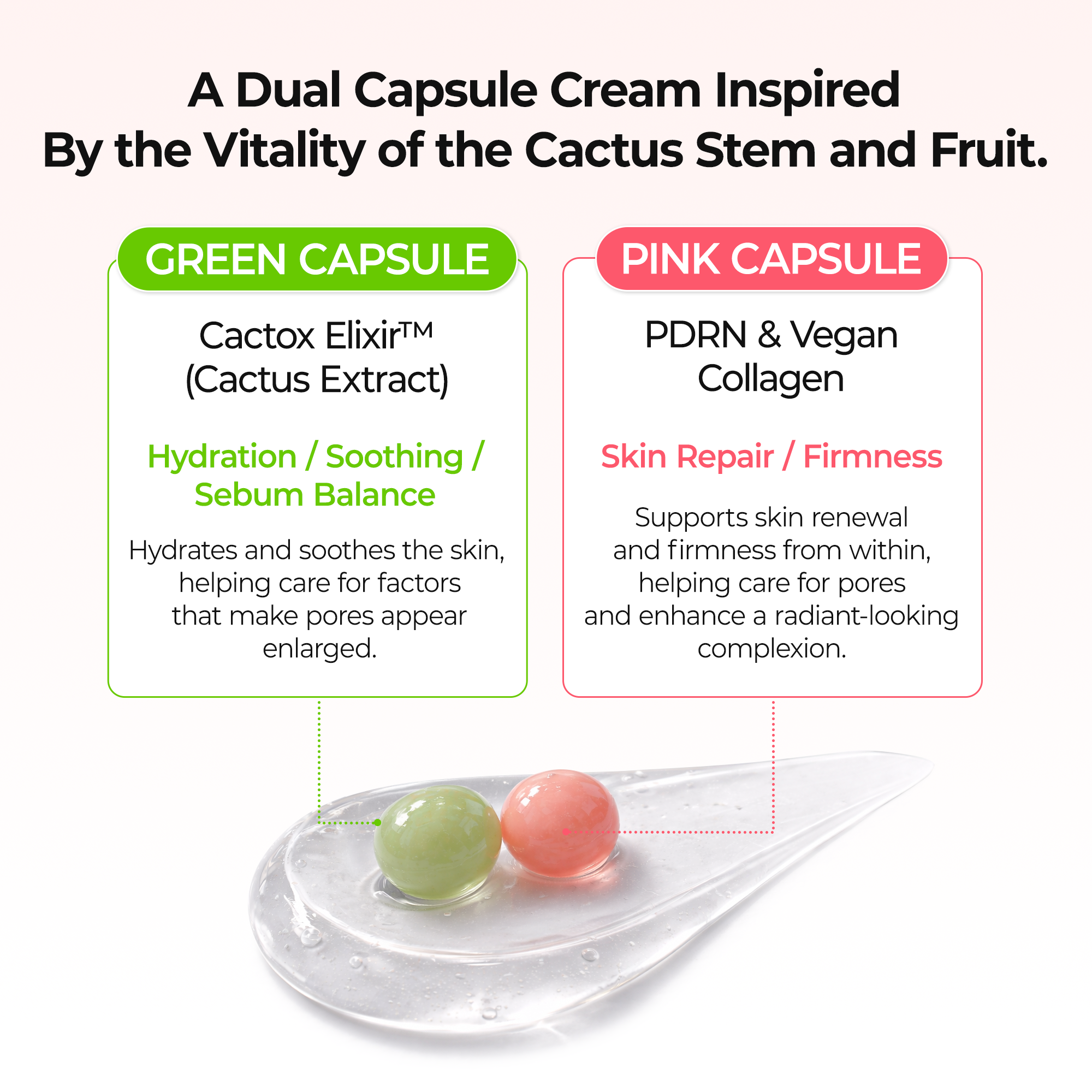 Cactox Pore Dual Capsule Cream - image 3