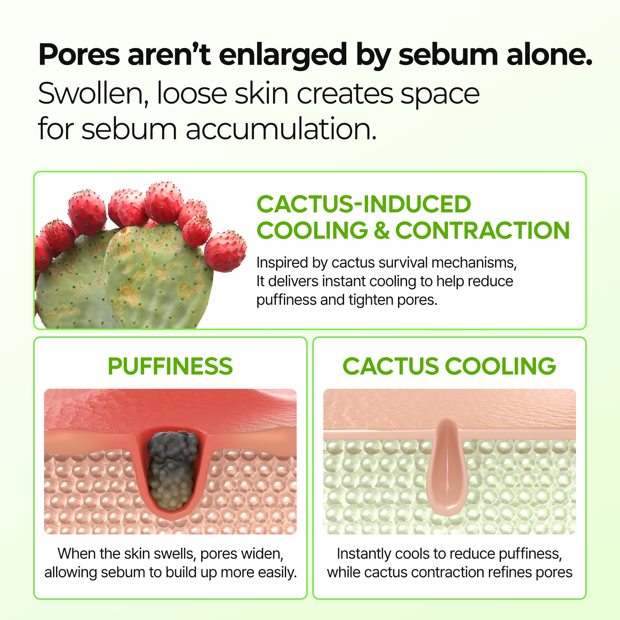 Cactox & Collagen Multi Pore Firming Balm Duo - image 3