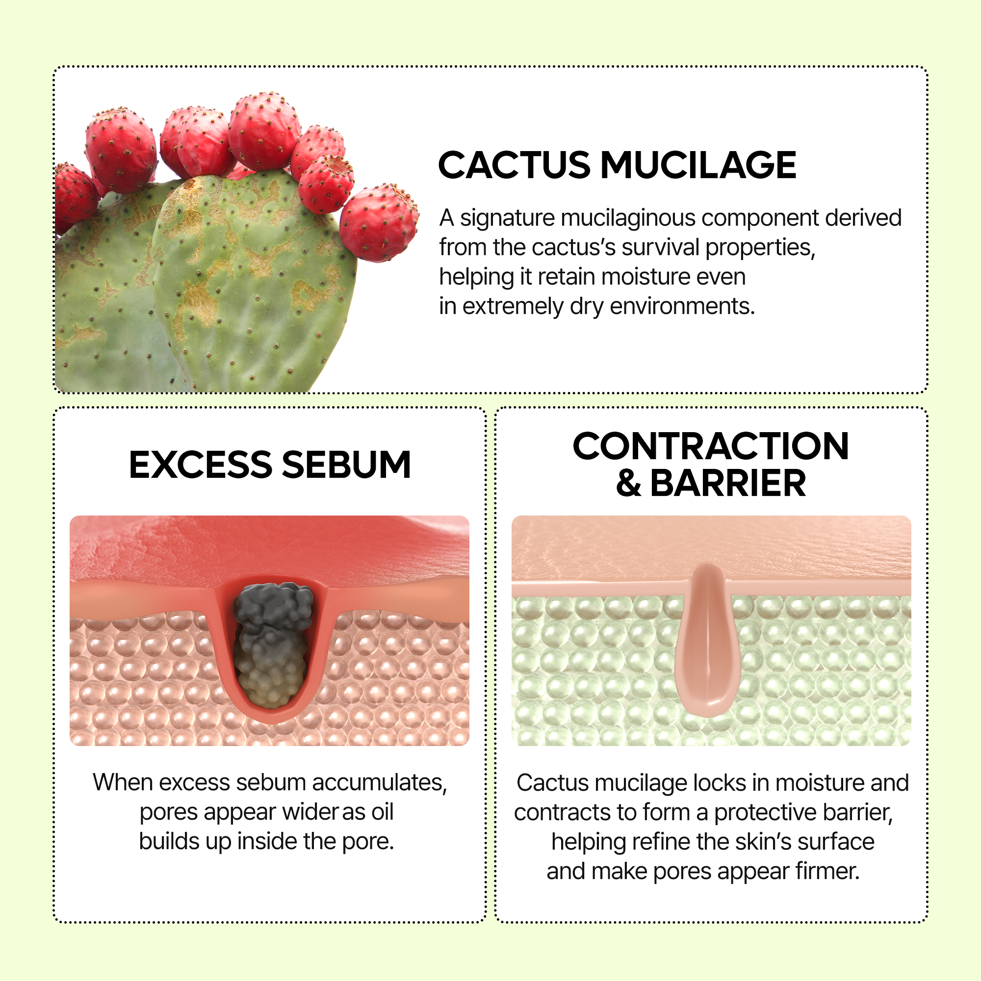 Cactox Pore Relief Serum - image 5